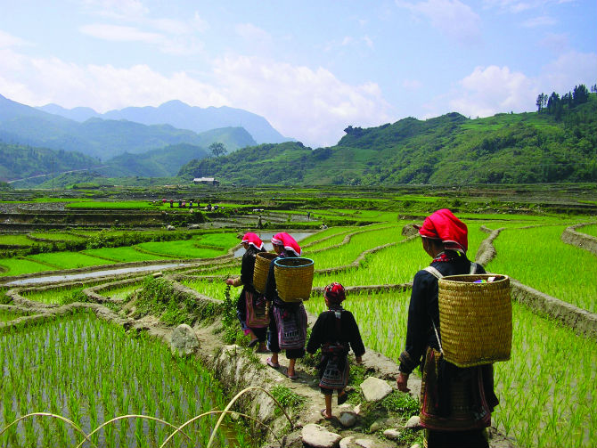 trekking in sapa village