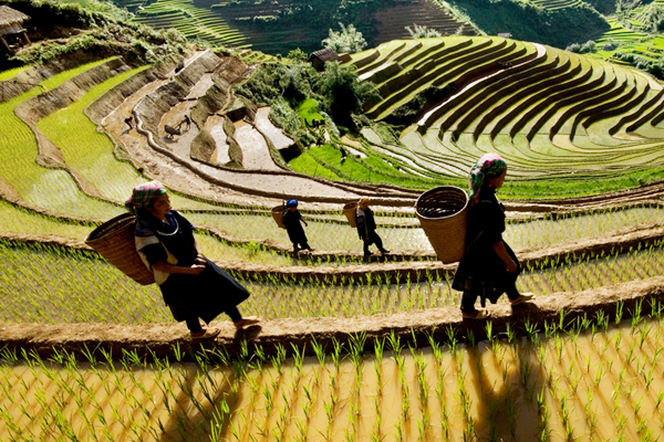 sapa valley tours